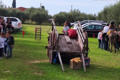 2022_carro_agricolo-106