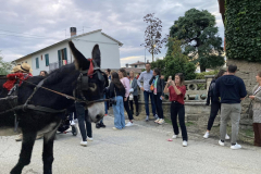 2022_carro_agricolo-154