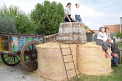 2022_carro_agricolo-155