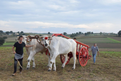 2022_carro_agricolo-161
