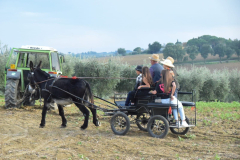 2022_carro_agricolo-165