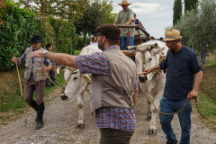 2022_carro_agricolo-171