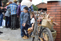 2022_carro_agricolo-178