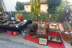 2023_mostra_del_carro_fratticciola-13