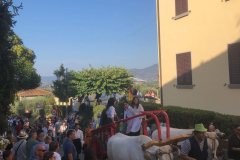 2023_festa_del_carro-107