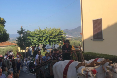 2023_festa_del_carro-115