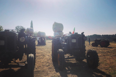 2023_festa_del_carro-121