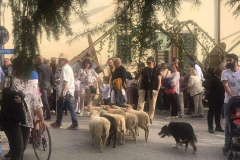 2023_festa_del_carro-133