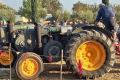 2023_festa_del_carro-139