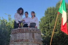 2023_festa_del_carro-141