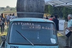 2023_festa_del_carro-150