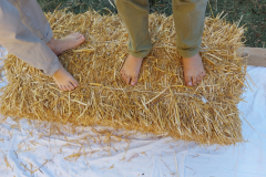 2023_festa_del_carro-41
