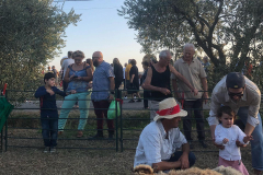 2023_festa_del_carro-43