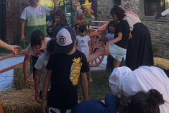 2023_festa_del_carro-99