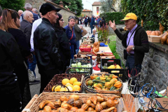 47a-Mostra-del-Carro-Agricolo-13