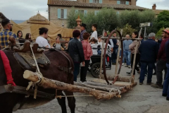 2019_carro-102
