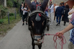 2019_carro-111