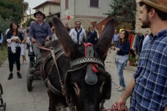 2019_carro-126