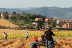 2019_carro-5
