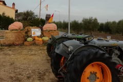 2019_carro-94