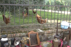 carro_2019_canapa_104