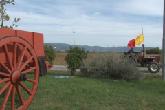 carro_2019_canapa_225