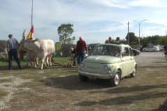 carro_2019_canapa_264