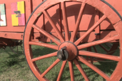 carro_2019_canapa_297