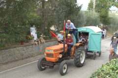 carro_2019_canapa_330