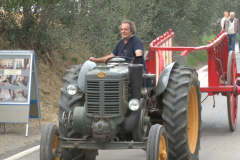 carro_2019_canapa_335