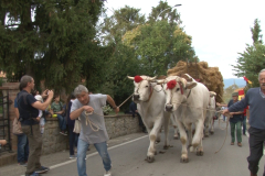 carro_2019_canapa_353