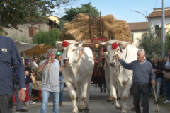 carro_2019_canapa_369