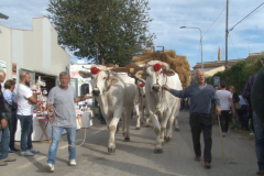 carro_2019_canapa_371