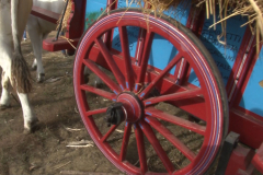 carro_2019_canapa_384