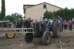 carro_2019_canapa_402