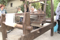 carro_2019_canapa_434