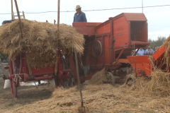 carro_2019_canapa_448