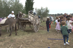 carro_2019_canapa_449
