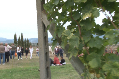 carro_2019_canapa_504