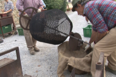 carro_2019_canapa_511