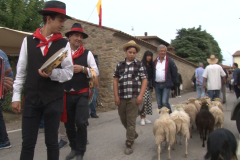 carro_2019_canapa_527