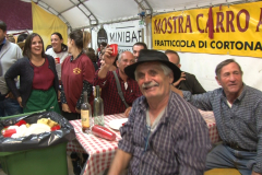 carro_2019_canapa_604